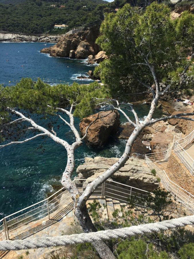 Апартаменти Cap Sa Sal - Sa Roca 2 Багу Екстер'єр фото